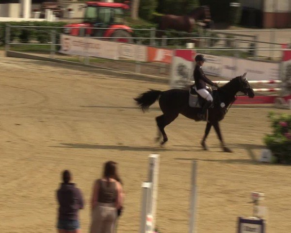 Reitturnier Castrop-Rauxel/Ober-Castrop 2024