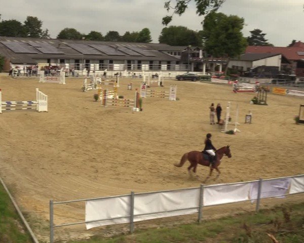 Reitturnier Castrop-Rauxel/Ober-Castrop 2024