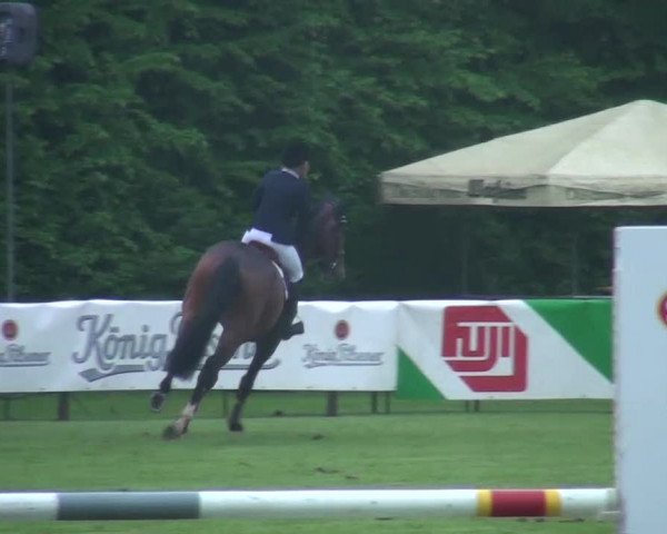 Pfingst-Dressur- und Springturnier 2013 des ZRFV Borken