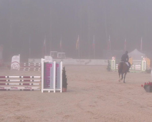 Reitturnier Ranshofen - Braunau am Inn 2024