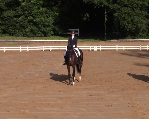 Reitturnier Vellinghausen 2024