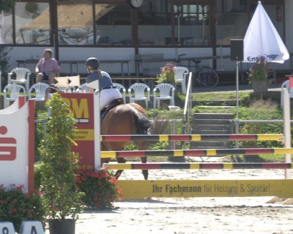 Reitturnier Oberderdingen 2024
