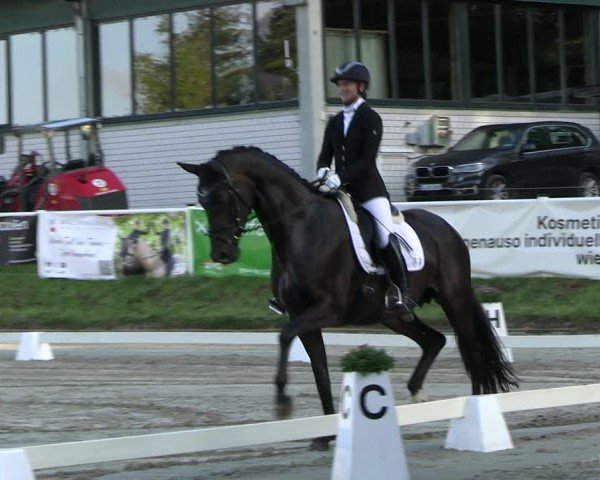 Reitturnier Bergisch Gladbach - Hebborner Hof 2024