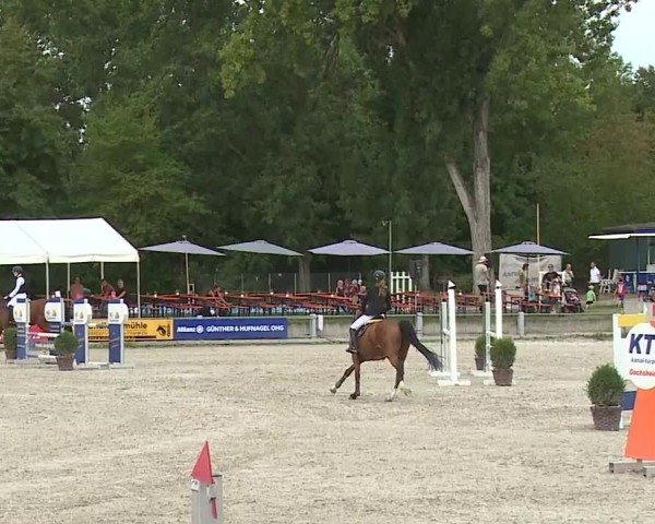 Reitturnier Grafenrheinfeld/Ufr. 2024