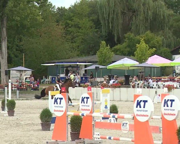 Reitturnier Grafenrheinfeld/Ufr. 2024