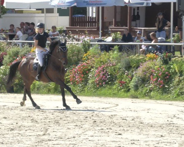 Reitturnier Oberderdingen 2024