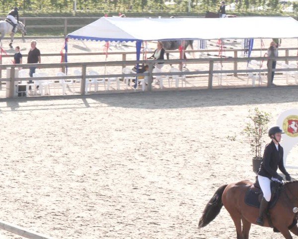 Reitturnier Münster-Amelsbüren 2024