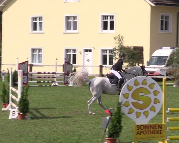 Reitturnier Niemegk / Neuendorf 2024