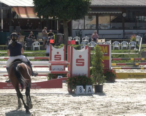 Reitturnier Oberderdingen 2024