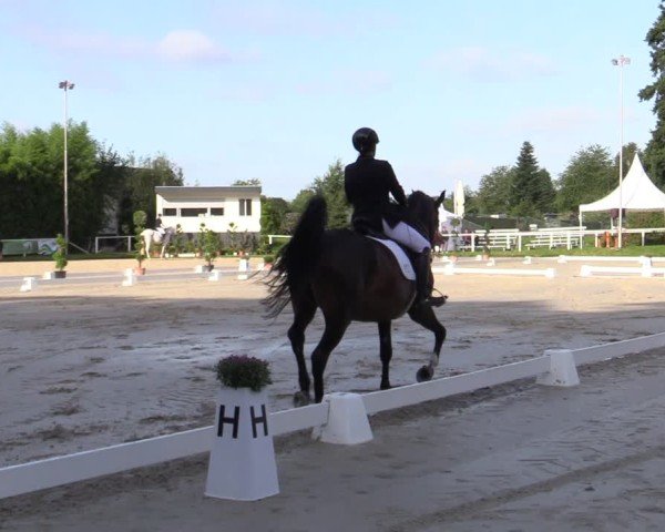 Reitturnier Bergisch Gladbach - Hebborner Hof 2024