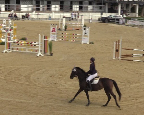 Reitturnier Castrop-Rauxel/Ober-Castrop 2024