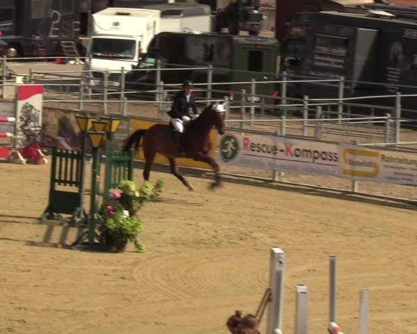 Reitturnier Castrop-Rauxel/Ober-Castrop 2024