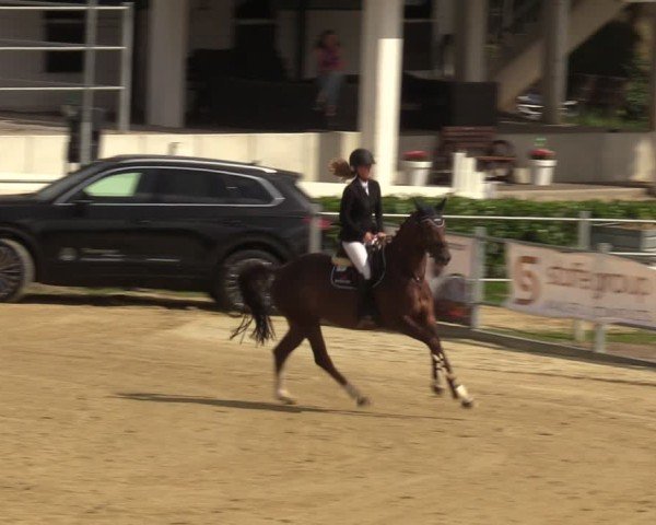 Reitturnier Castrop-Rauxel/Ober-Castrop 2024