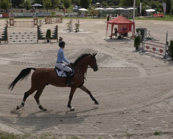 Reitturnier Halle - Seeben 2024