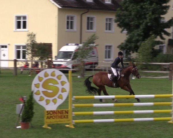 Reitturnier Niemegk / Neuendorf 2024