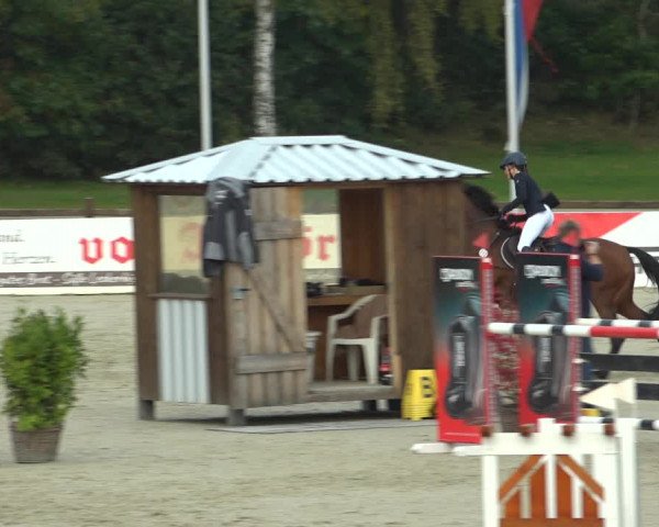 Reitturnier Westergellersen 2021