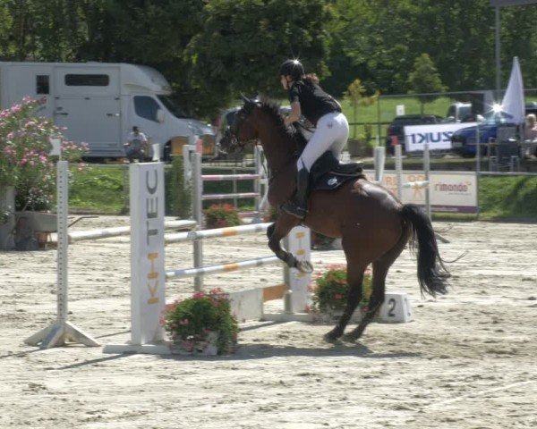 Reitturnier Oberderdingen 2024
