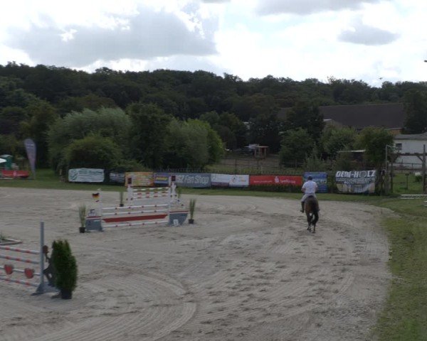 Reitturnier Halle - Seeben 2024