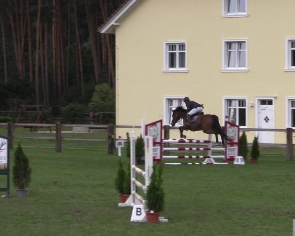 Reitturnier Niemegk / Neuendorf 2024