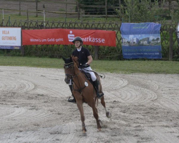 Reitturnier Halle - Seeben 2024