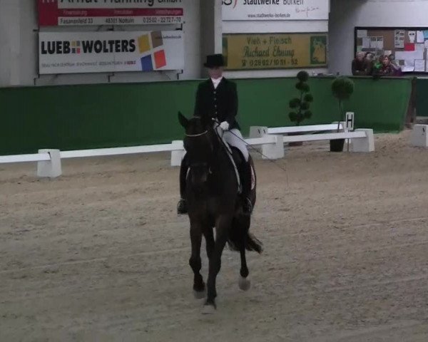 Pfingst-Dressur- und Springturnier 2013 des ZRFV Borken