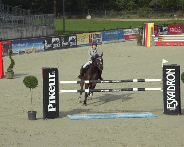 Reitturnier Westergellersen 2021