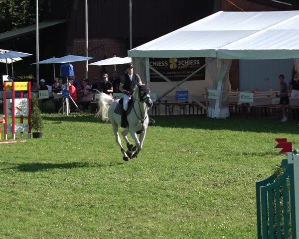 Reitturnier Sulgen 2024