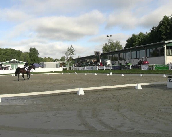 Reitturnier Bergisch Gladbach - Hebborner Hof 2024