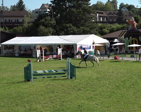 Reitturnier Sulgen 2024