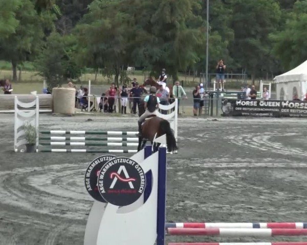 Reitturnier Horitschon 2024