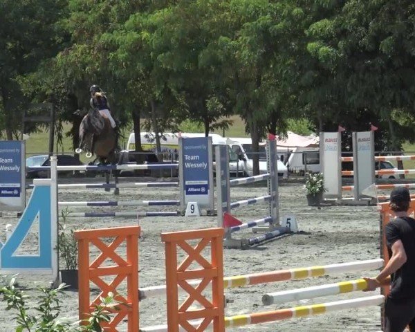 Reitturnier Horitschon 2024