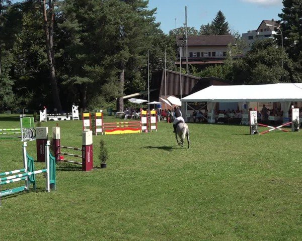 Reitturnier Sulgen 2024