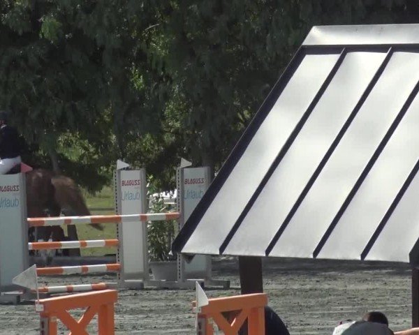 Reitturnier Horitschon 2024