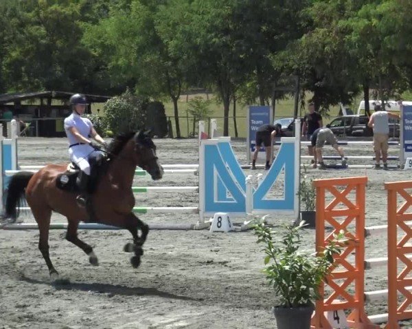 Reitturnier Horitschon 2024