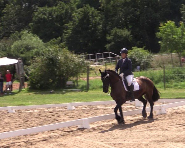 Reitturnier Halle - Seeben 2024