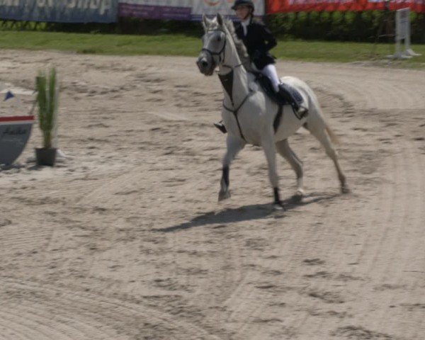 Reitturnier Halle - Seeben 2024