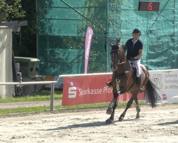 Reitturnier Oberderdingen 2024