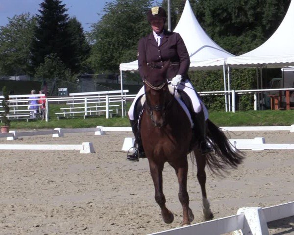 Reitturnier Bergisch Gladbach - Hebborner Hof 2024