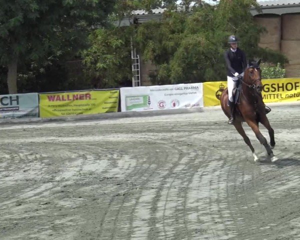 Reitturnier Horitschon 2024