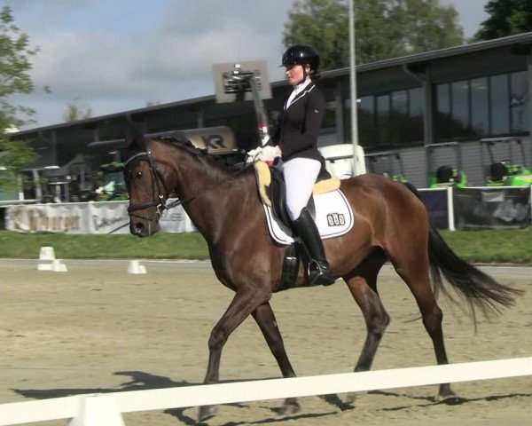 Reitturnier Bergisch Gladbach - Hebborner Hof 2024
