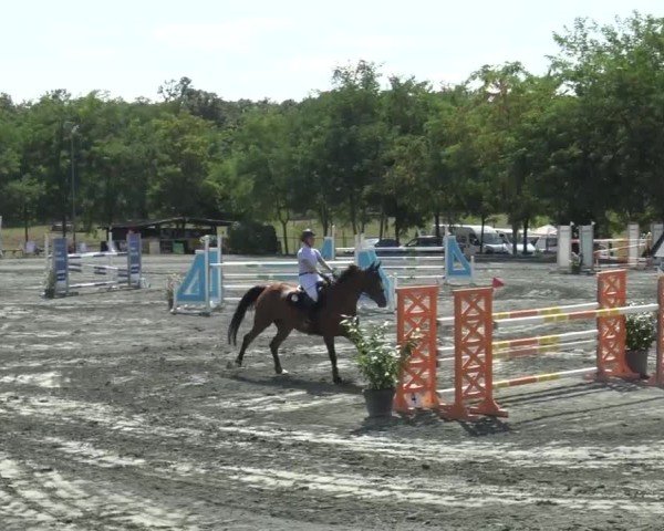 Reitturnier Horitschon 2024