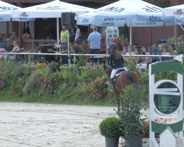 Reitturnier Oberderdingen 2024