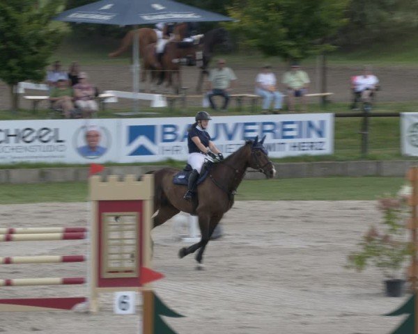 Reitturnier Halle - Seeben 2024