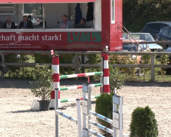Reitturnier Münster-Amelsbüren 2024