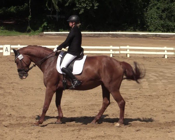Reitturnier Vellinghausen 2024