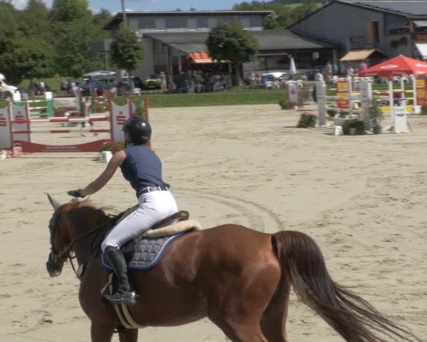 Reitturnier Oberderdingen 2024