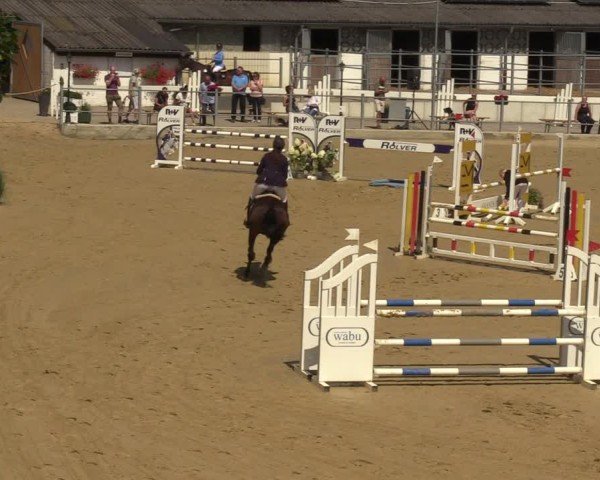 Reitturnier Castrop-Rauxel/Ober-Castrop 2024