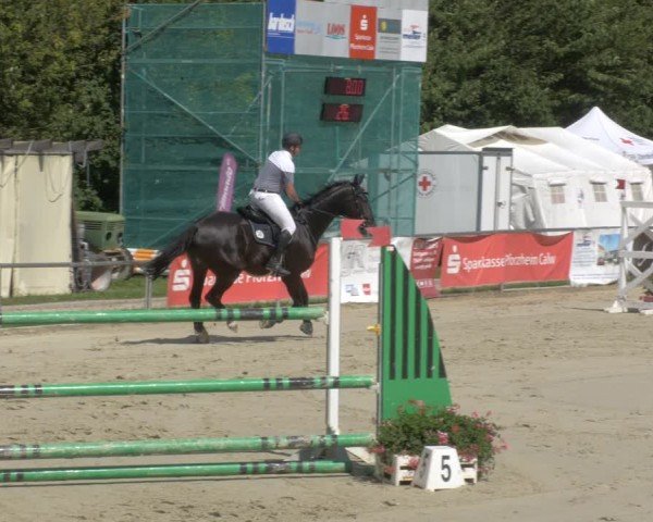 Reitturnier Oberderdingen 2024