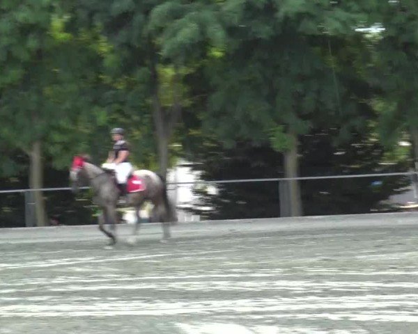 Reitturnier Horitschon 2024