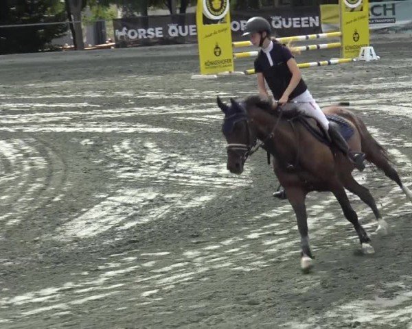 Reitturnier Horitschon 2024